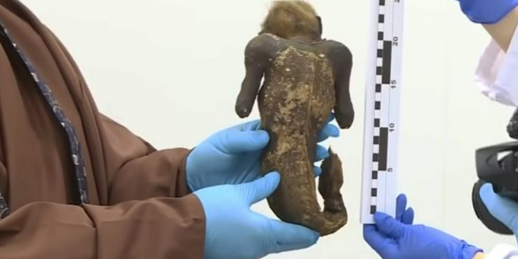 الكشف عن سر مومياء “حورية البحر” في اليابان .. (لغز عمره 300 عام)