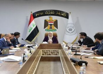 الكشف عن الفوائد الأساسية من نظام الإدارة المالية العامة