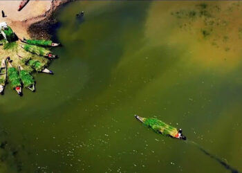 الأهوار في العراق “تحفة طبيعة مميزة” مليئة بالمخلوقات المتآلفة