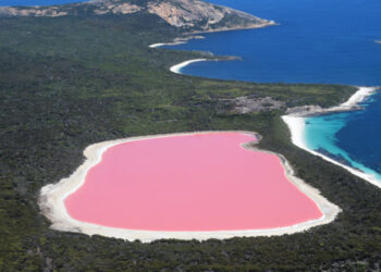 البحيرة الوردية في أستراليا  يتغير لونها بعد ارتفاع درجات الحرارة