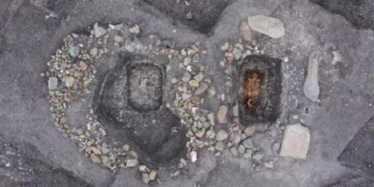 أول دليل على ركوب الخيل قبل 5 آلاف عام