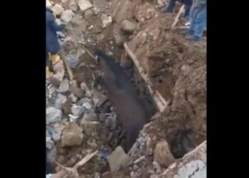 إنقاذ حصان في تركيا من تحت أنقاض الزلزال … بعد 21 يوما