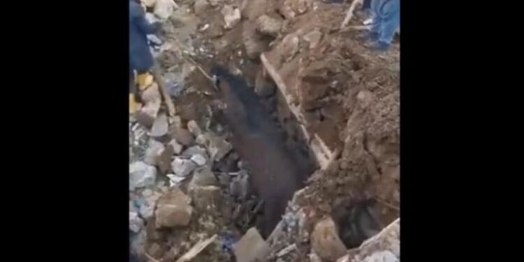 إنقاذ حصان في تركيا من تحت أنقاض الزلزال … بعد 21 يوما