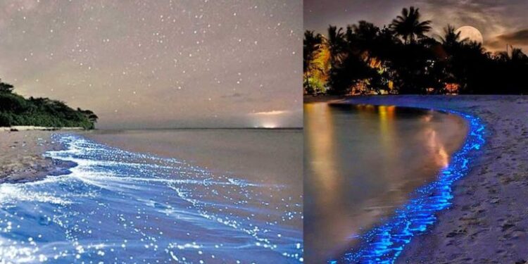 ظاهرة خرافية في جـــزر المالديف وتايلاند