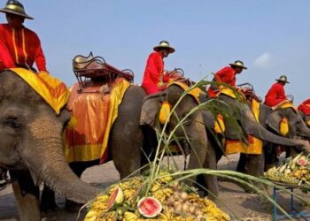 تايلاند تحتفي بالوحش الطيب ..اليوم الوطني للفيل