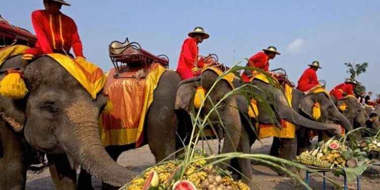 تايلاند تحتفي بالوحش الطيب ..اليوم الوطني للفيل