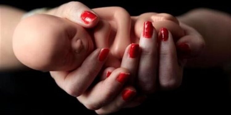 ولاية أمريكية تعتزم إنشاء نصب تذكاري للجنين