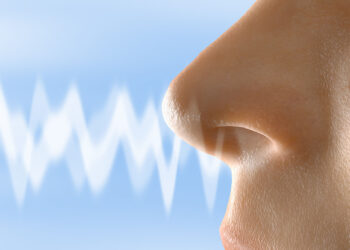 الروائح القديمة مفتـــــاح لمعرفة الماضي