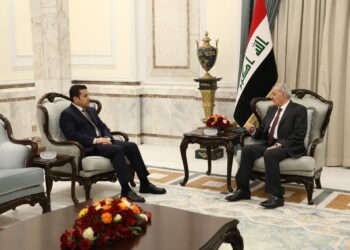 رئيس الجمهورية يبحث مع مستشار الأمن القومي آخر التطورات على الساحة الأمنية