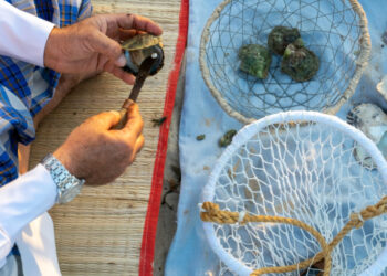 اكتشاف “أقدم مدينة” لصيد اللؤلؤ بالخليج