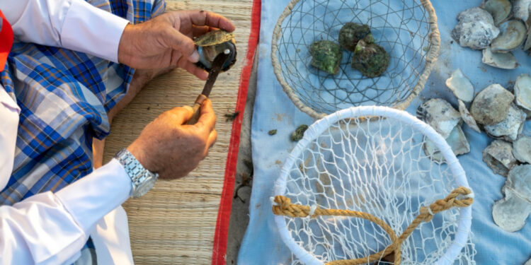 اكتشاف “أقدم مدينة” لصيد اللؤلؤ بالخليج