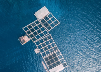 بالفيديو .. مشاهدة “أطنان من المخدرات” عائمة في عرض البحر