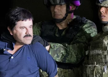 طرق لجأ إليها أبناء (إل تشابو) للتخلص من أعدائهم ,, يطعمونهم أحياء للنمور