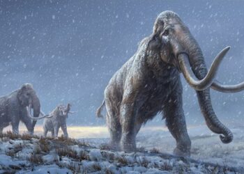 باحثون يكشفون معلومات جديدة عن “حيوانات الماموث الصوفية”