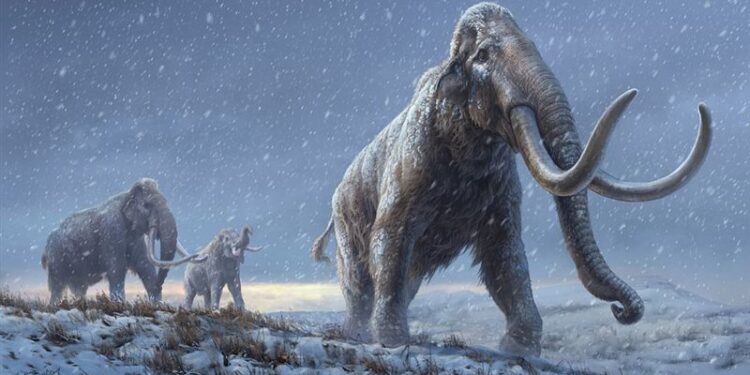 باحثون يكشفون معلومات جديدة عن “حيوانات الماموث الصوفية”