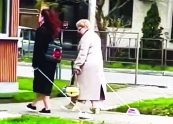 نزهة برفقة أدوات كهربائية بدلا من الكلاب والقطط