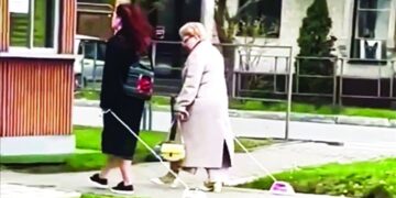 نزهة برفقة أدوات كهربائية بدلا من الكلاب والقطط