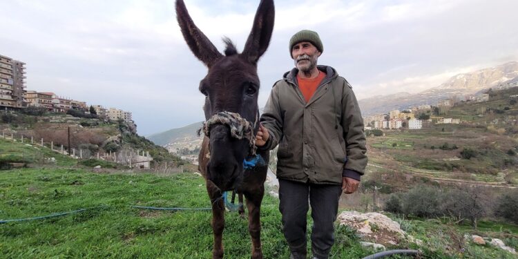 لبنان يعود إلـــى “زمن الحمير”
