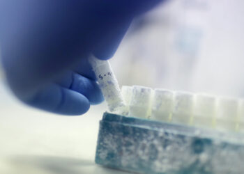 محكمة تأمر هولنديا بعدم التبرع بحيوانات منوية ..(خشية علاقات جنسية أخوية)