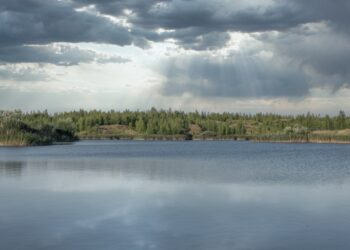 هل أصبحت مياه المطر خطرة ؟