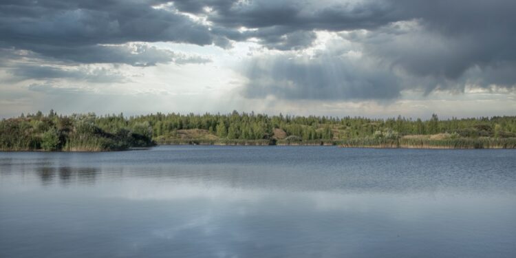 هل أصبحت مياه المطر خطرة ؟