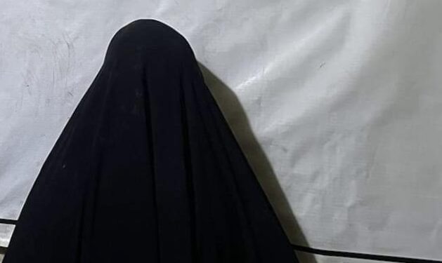 اعتقال امرأة بتهمة تنفيذ عمليات سرقة في “مولات النجف”