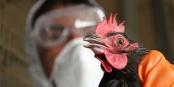 كل مايتعلق بــ إنفلونزا الطيور H3N8