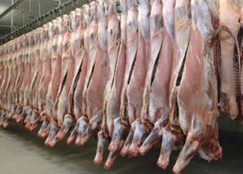 العراق يفتح باب استيراد اللحوم لتخفيض أسعارها