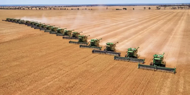 العراق اشترى (150 ألف طن من القمح الأسترالي) في مناقصة دولية