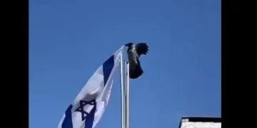 بالفيديو .. غراب ينتزع علم إسرائيل ويلقيه على الأرض