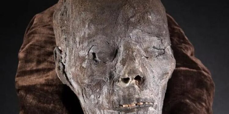  رأس مومياء مصرية للبيـــع في بريطانيا