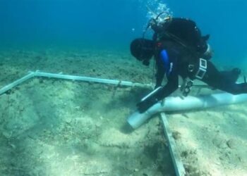 اكتشاف طريق أثري عمرة يتخطى الـ7000 سنة في قاع البحر المتوسط