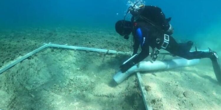 اكتشاف طريق أثري عمرة يتخطى الـ7000 سنة في قاع البحر المتوسط