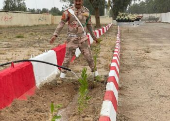 الجيش يباشر بحملة زراعية لمكافحة التصحر
