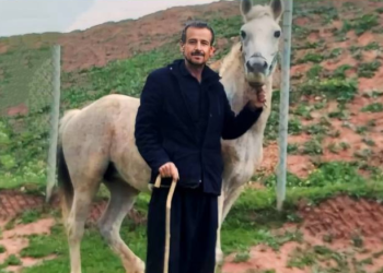جمجال .. عمال يقتلون صاحب مشروع ويسرقون أمواله ,, “قتلوه ومثلوا بجثته”