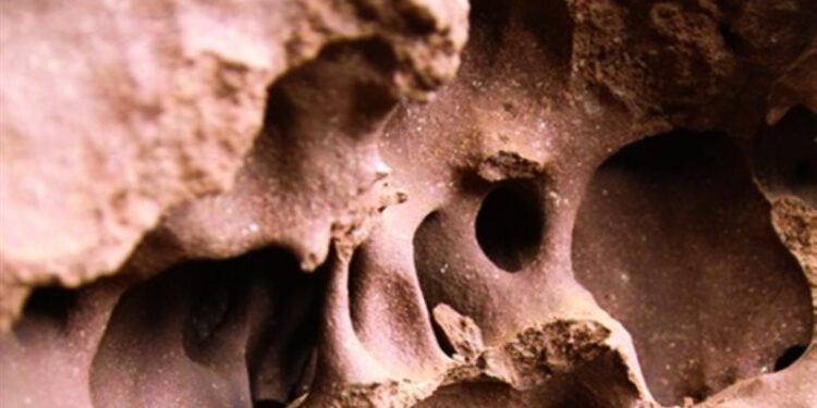 مبانٍ صديقة للبيئة مستلهمة من أبراج النمل الأبيض