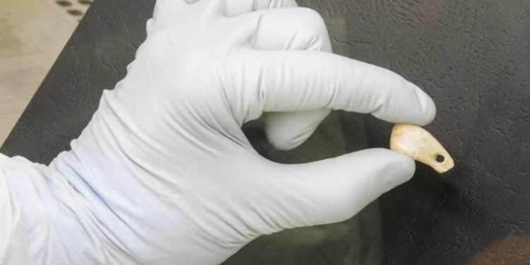 قطعة حلي “عمرها 20 ألف عام” تســاعد علماء في معرفة الحمض النووي لامرأة