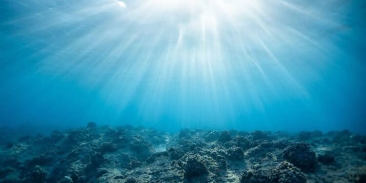 العثور على “مقبرة تحت الماء ” تكشف خفايا الحرب الأهلية الأمريكية