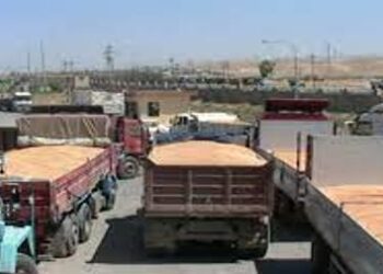 ديالى .. انطلاق موسم تسويق الحنطة والشعير الى سايلوات وزارة التجارة