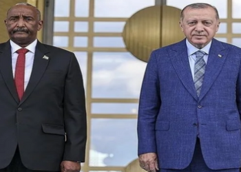 أردوغان يبحث مع البرهان التطورات في السودان