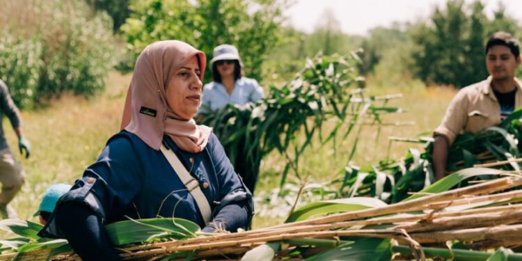 مضيف سومري في حـــرم جامعة أمريكية عريقة