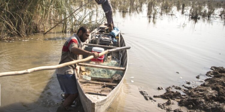 هور العظيم “مهــدد بالجفاف” بفعل عمليات في حقل نفطي