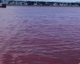 اليابان .. تسريب من مصنع جعة يحوّل مياه مدينة منتجعات للون الأحمر