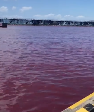 اليابان .. تسريب من مصنع جعة يحوّل مياه مدينة منتجعات للون الأحمر