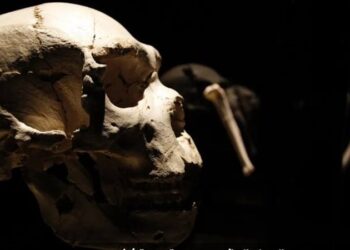 فريق من العلماء يكشف أسرارا عن الإنسان عمرها 86 ألف سنة
