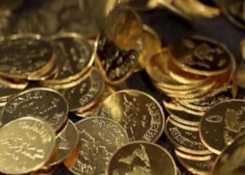 عائلة تعثر على كنز ثمين عن طريق الصدفة