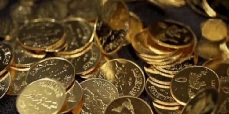 عائلة تعثر على كنز ثمين عن طريق الصدفة