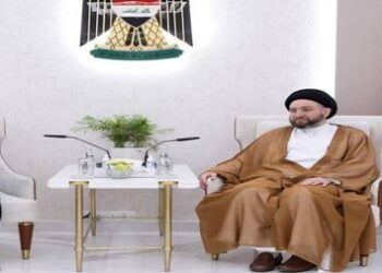 الحكيم يلتقي بسفيرة مملكة السويد
