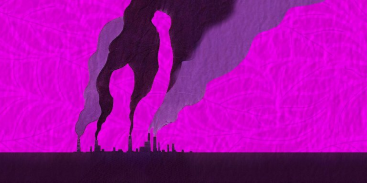 إدارة بايدن تنفق 12 مليون $ لتعليم العراقيين الجندرية وقضايا المناخ