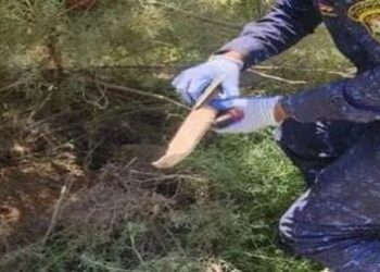 سامراء .. تنفيذ عمليات أمنية استباقية واسعة من قبل قوات الشرطة الاتحادية